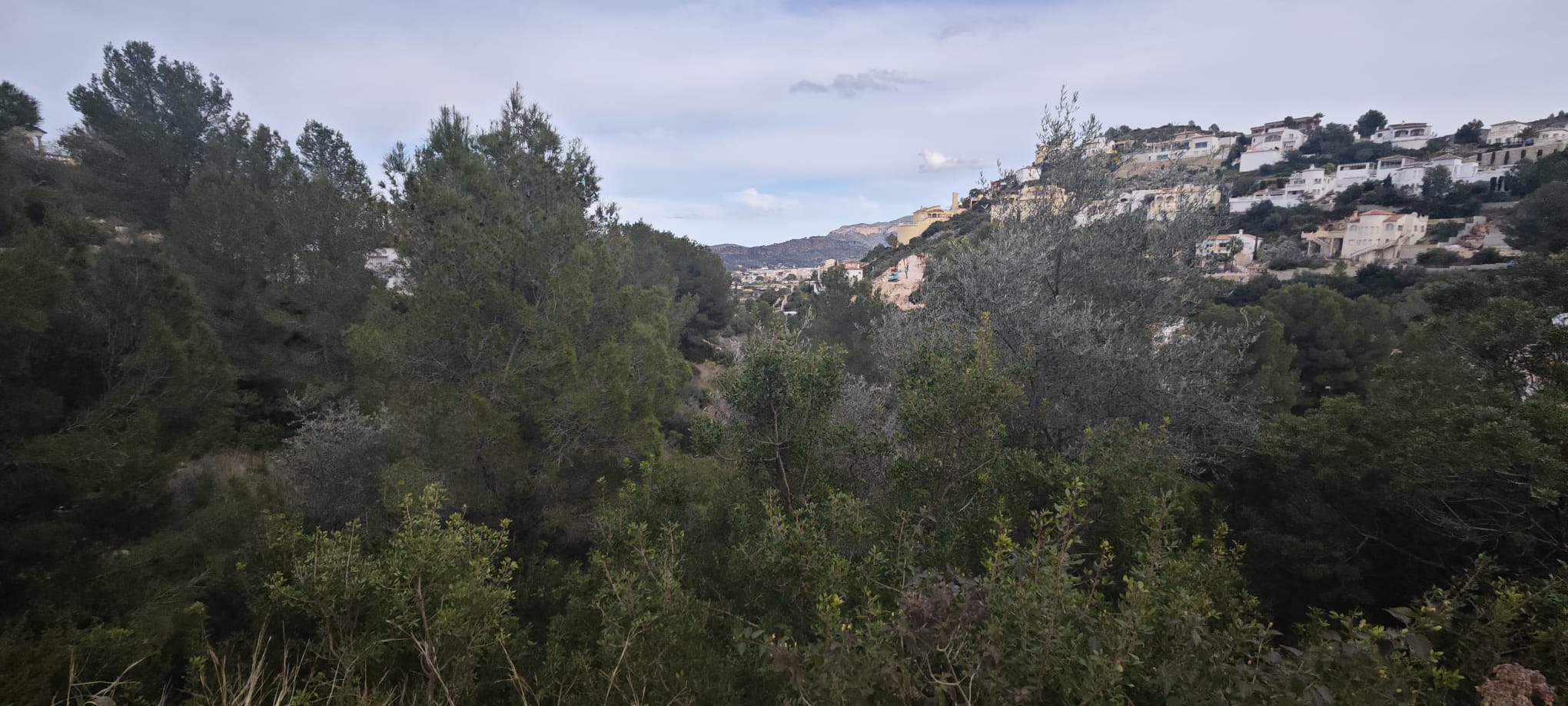 PARCELA URBANIZABLE DE 1.061m2 EN MONTESOLANA 