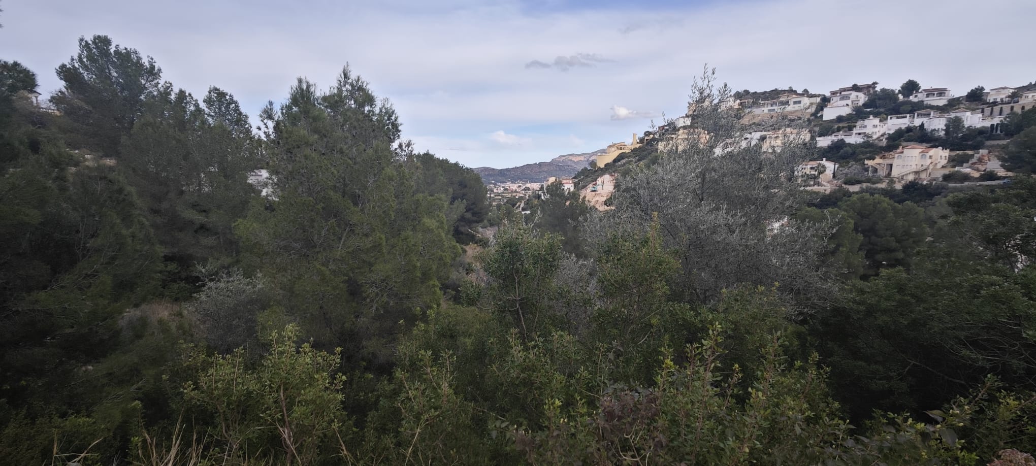 PARCELA URBANIZABLE DE 1.061m2 EN MONTESOLANA 
