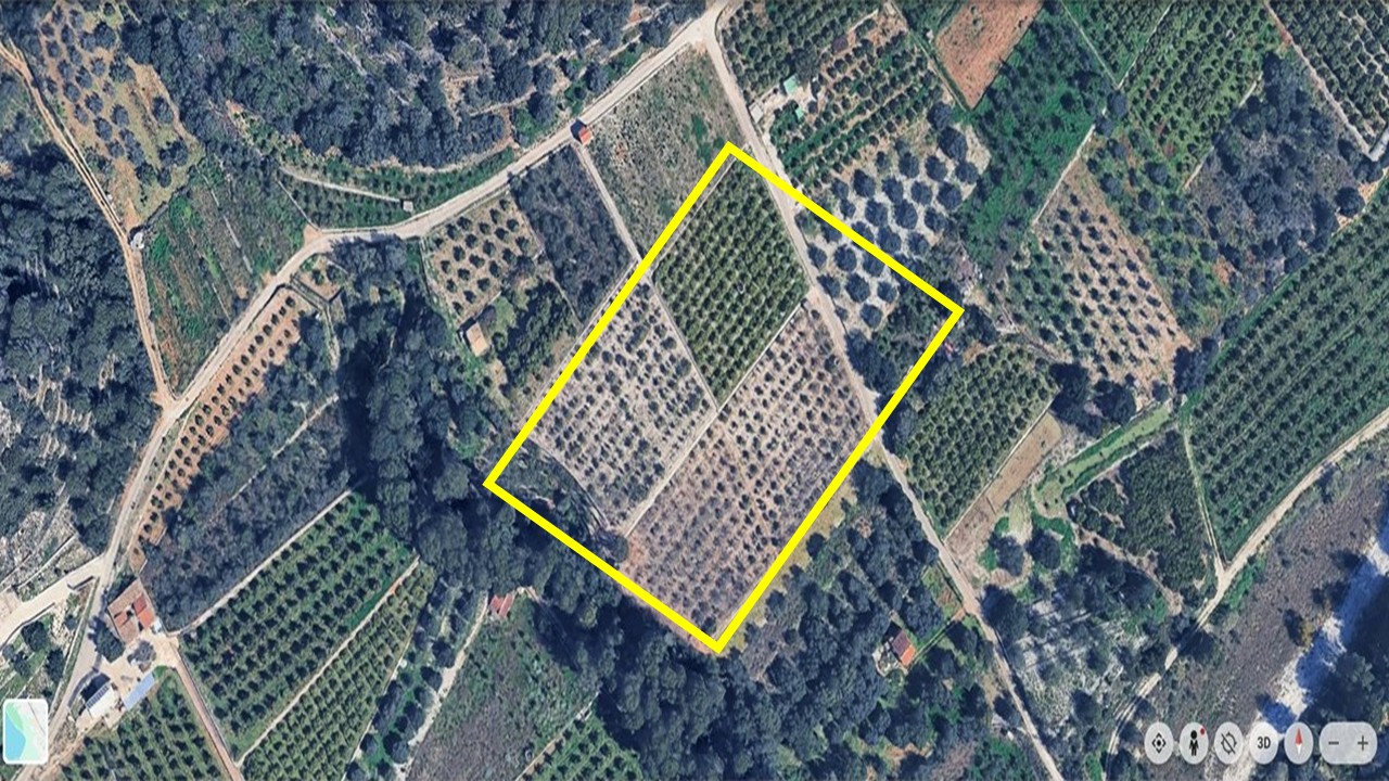 Plot in vendita a Tormos, Alicante