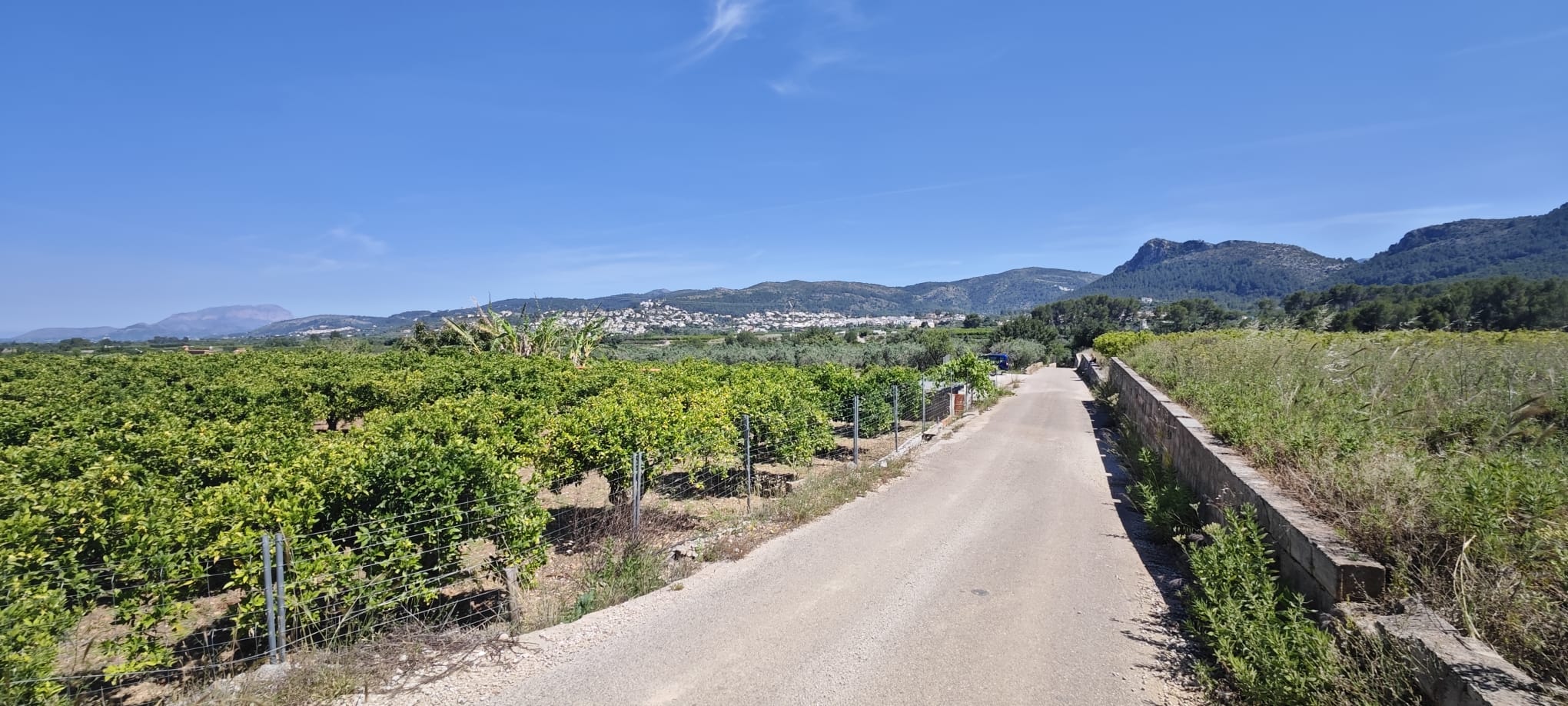Plot in vendita a Tormos, Alicante