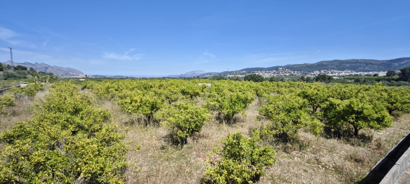 Plot in vendita a Tormos, Alicante
