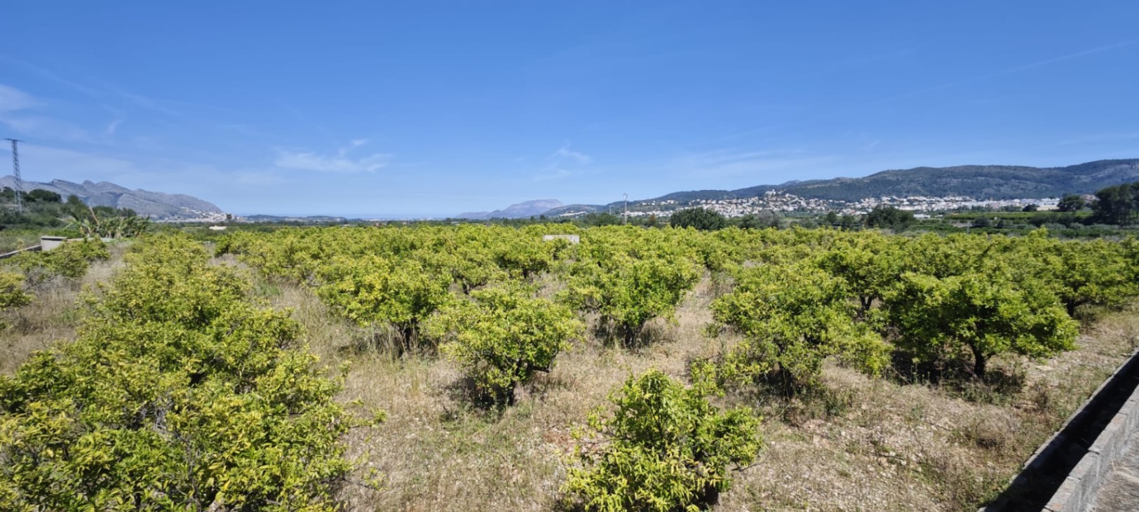 Plot in vendita a Tormos, Alicante