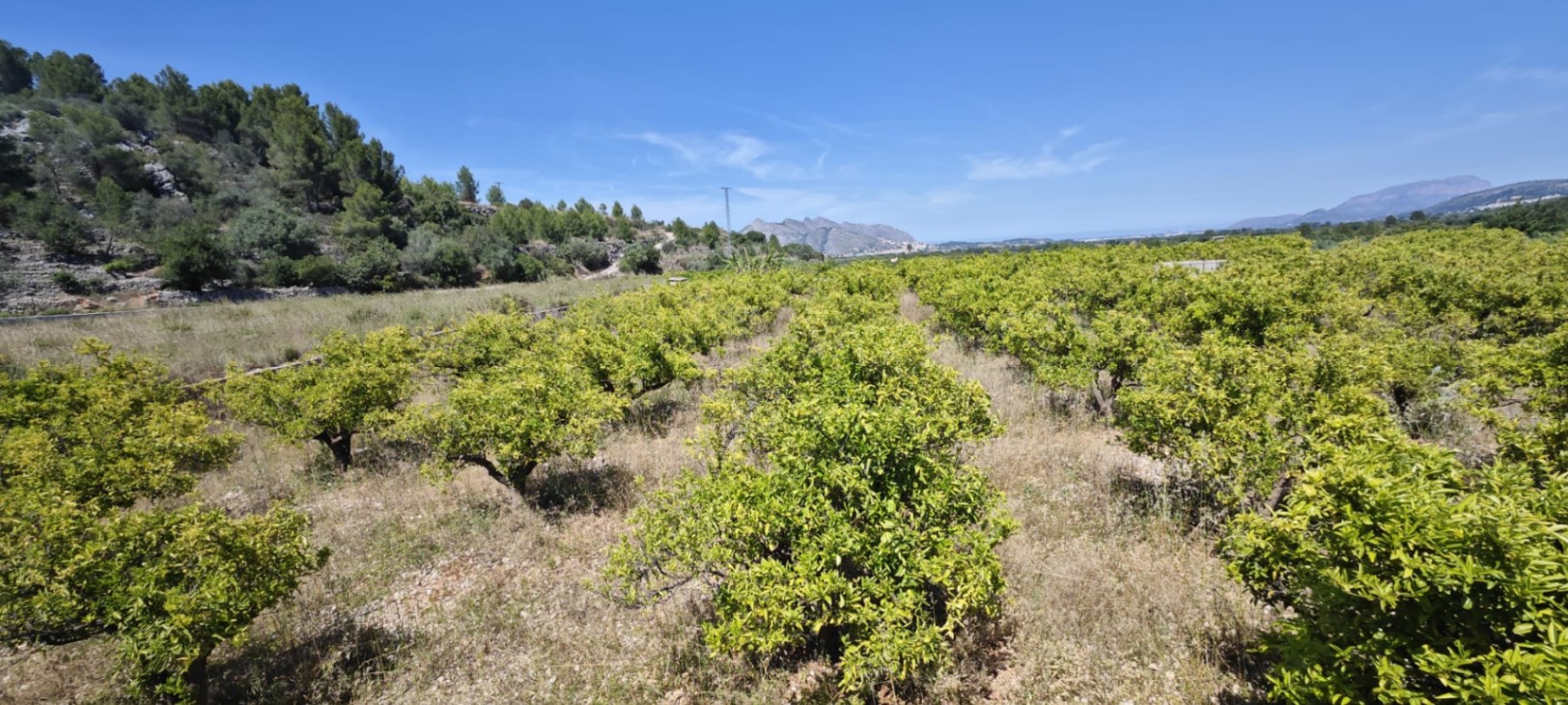 Plot in vendita a Tormos, Alicante