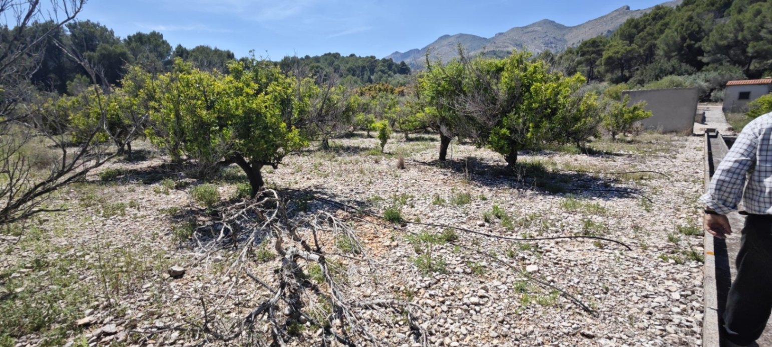 Plot in vendita a Tormos, Alicante