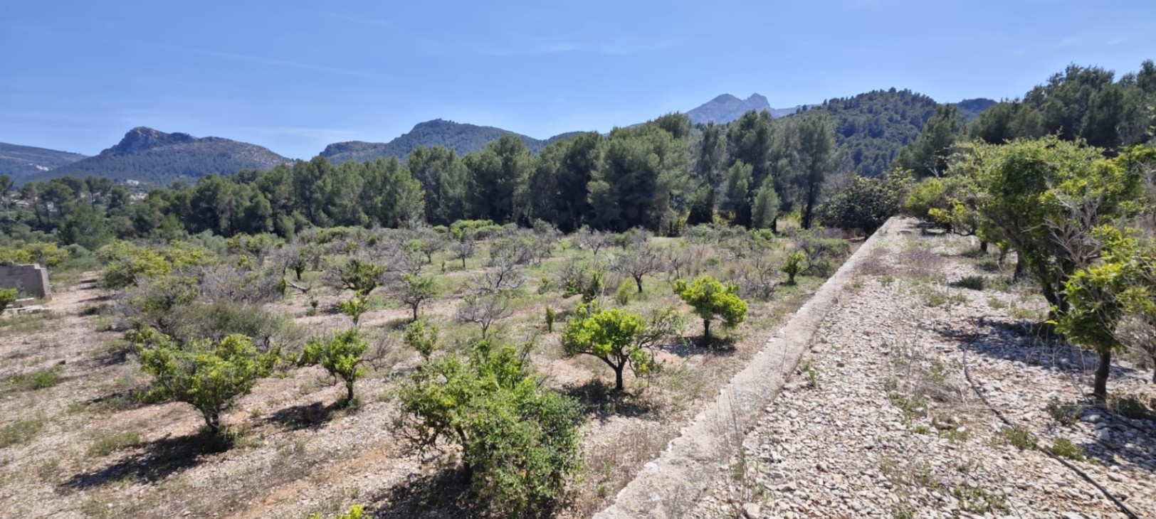 Plot in vendita a Tormos, Alicante