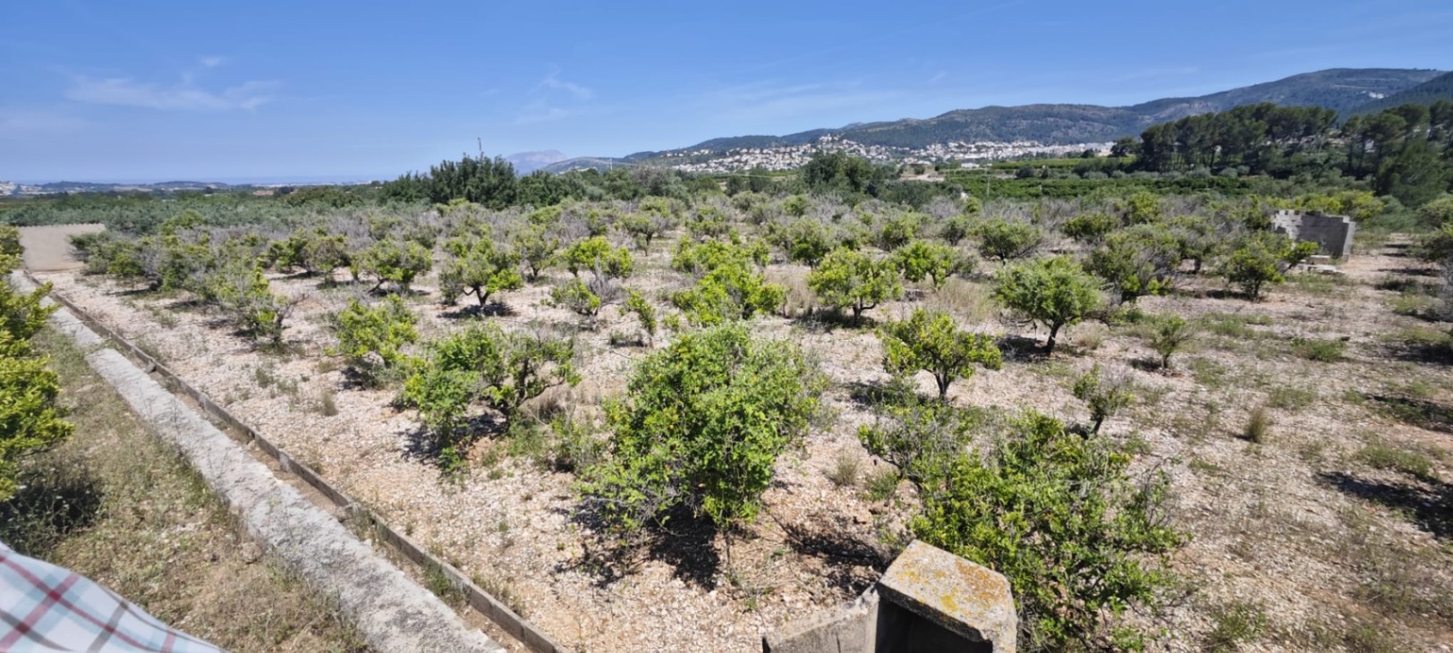 Plot in vendita a Tormos, Alicante