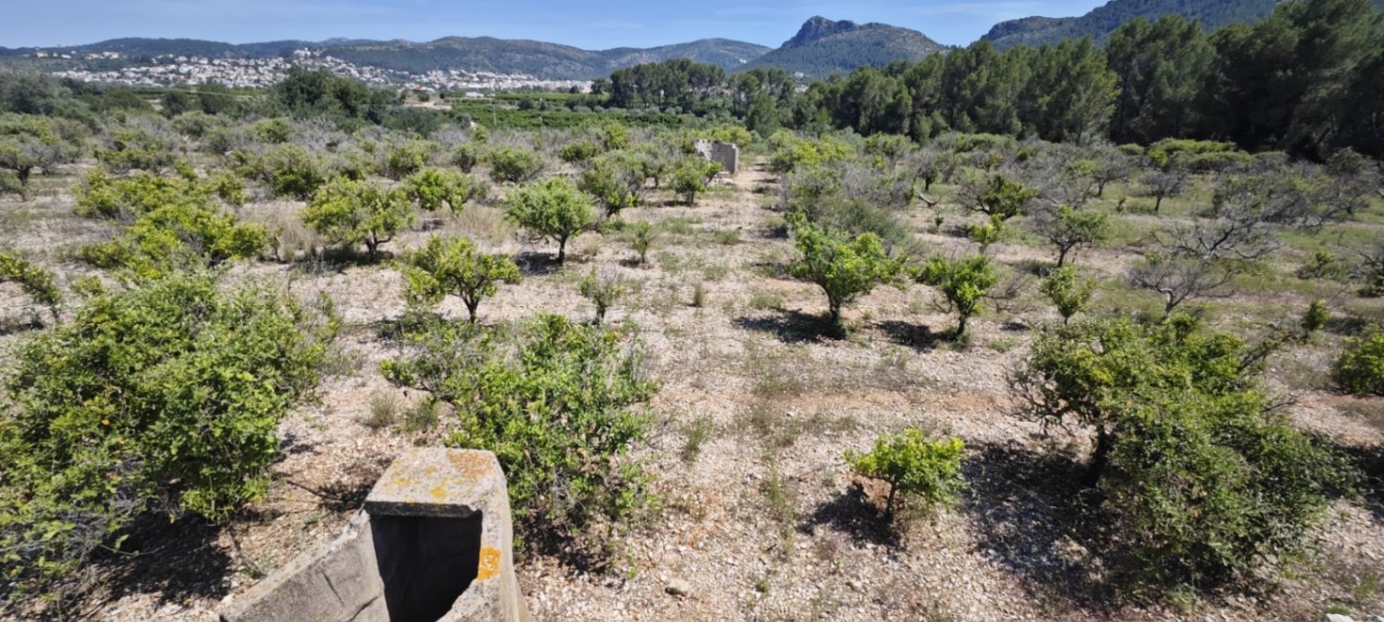 Plot in vendita a Tormos, Alicante