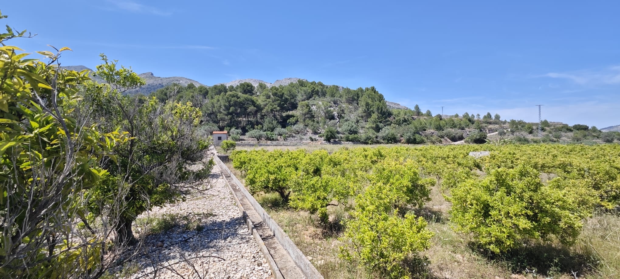 Plot in vendita a Tormos, Alicante