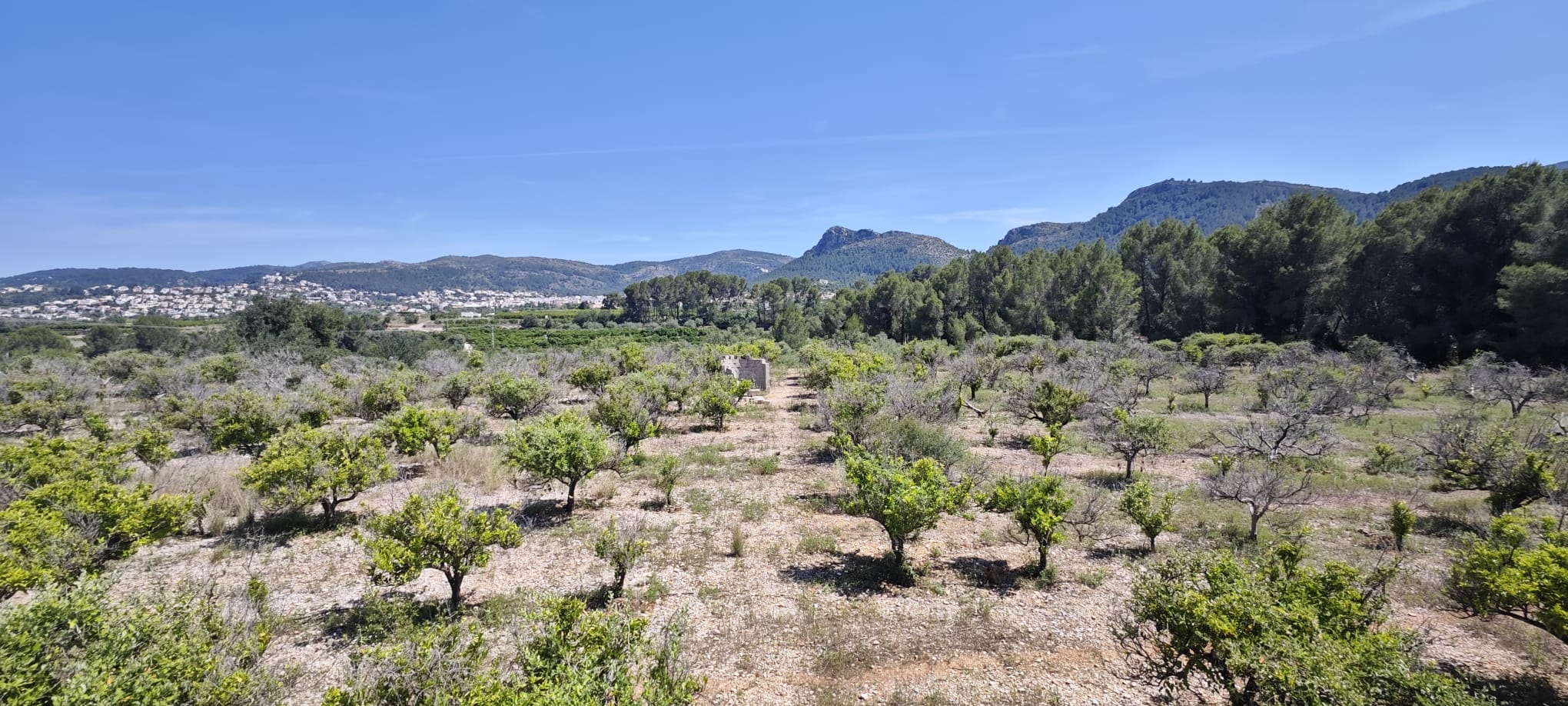 Plot in vendita a Tormos, Alicante