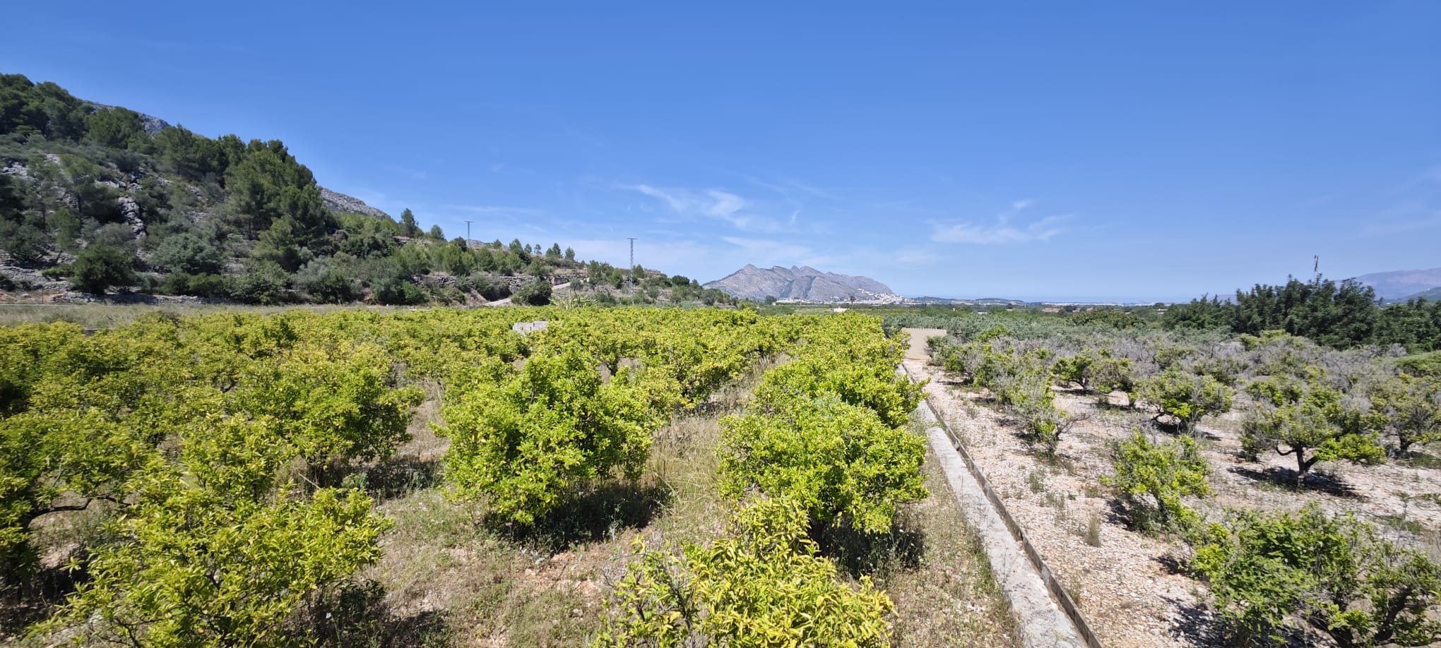 Plot in vendita a Tormos, Alicante