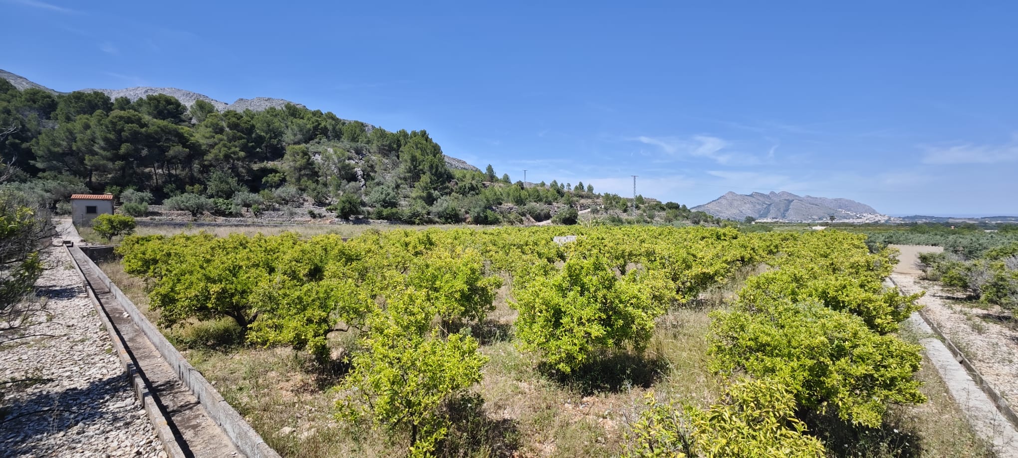 Plot in vendita a Tormos, Alicante