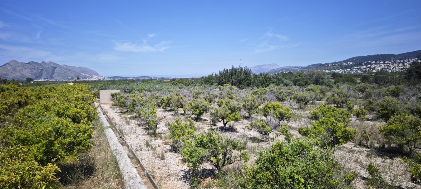 Plot in vendita a Tormos, Alicante