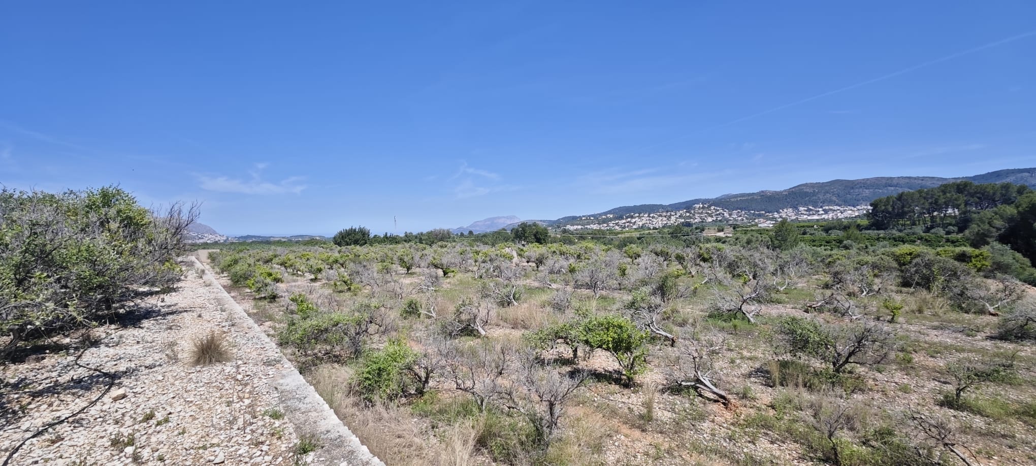 Plot in vendita a Tormos, Alicante