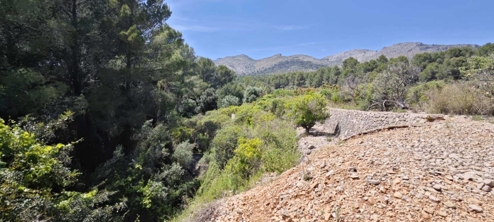 Plot in vendita a Tormos, Alicante