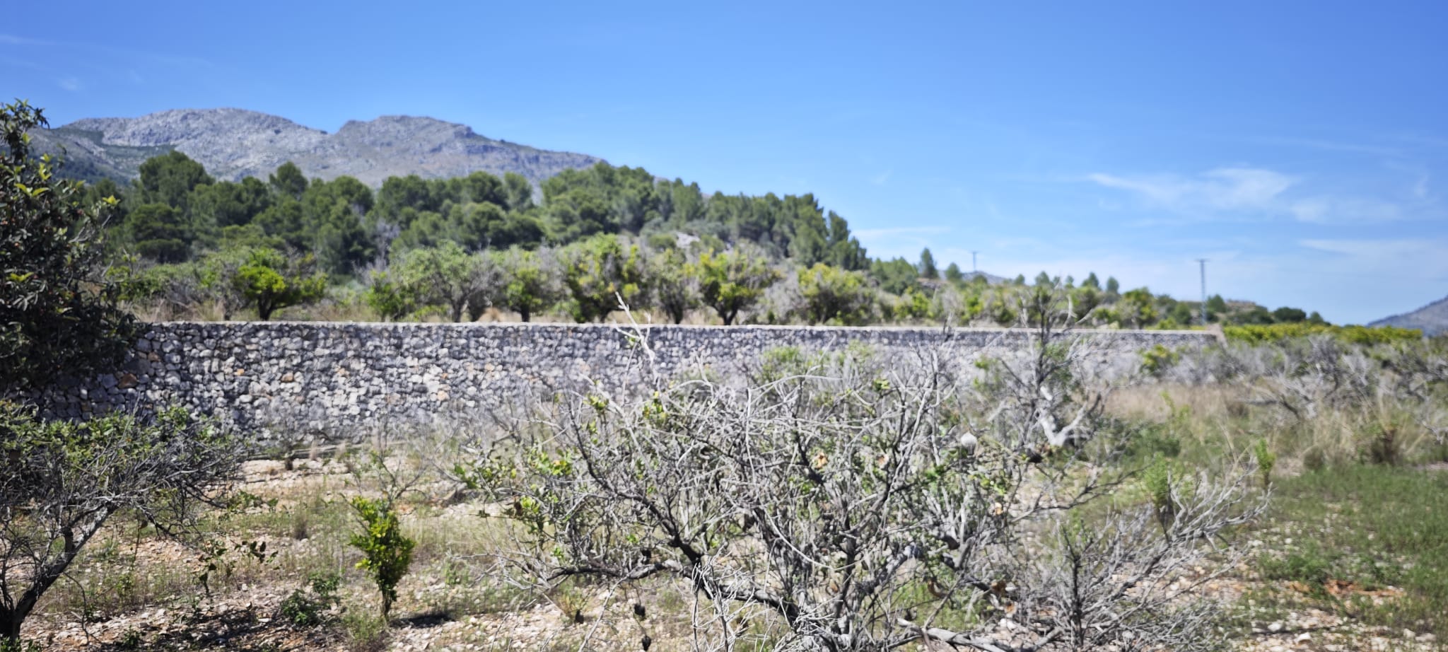Plot in vendita a Tormos, Alicante