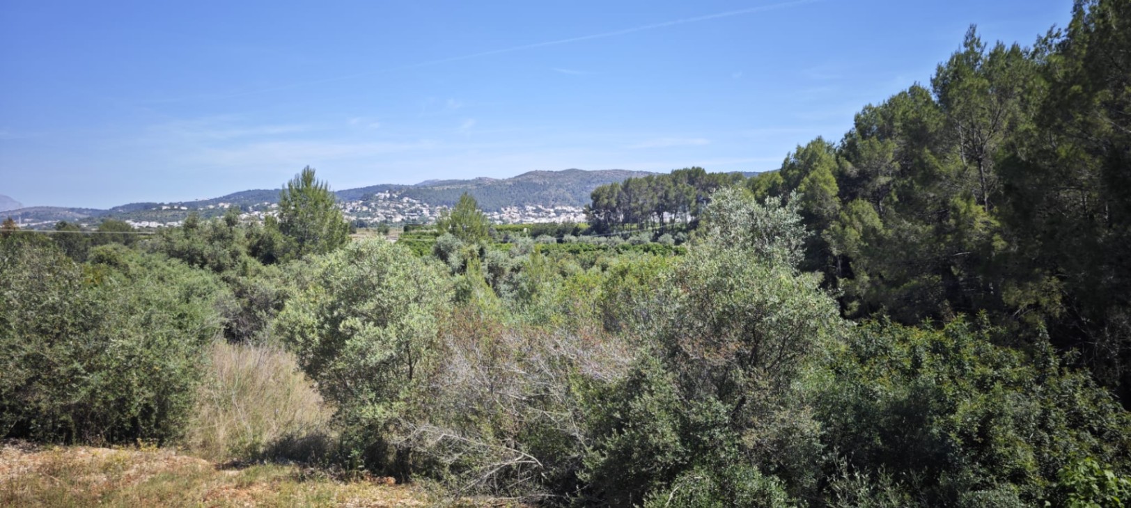 Plot in vendita a Tormos, Alicante