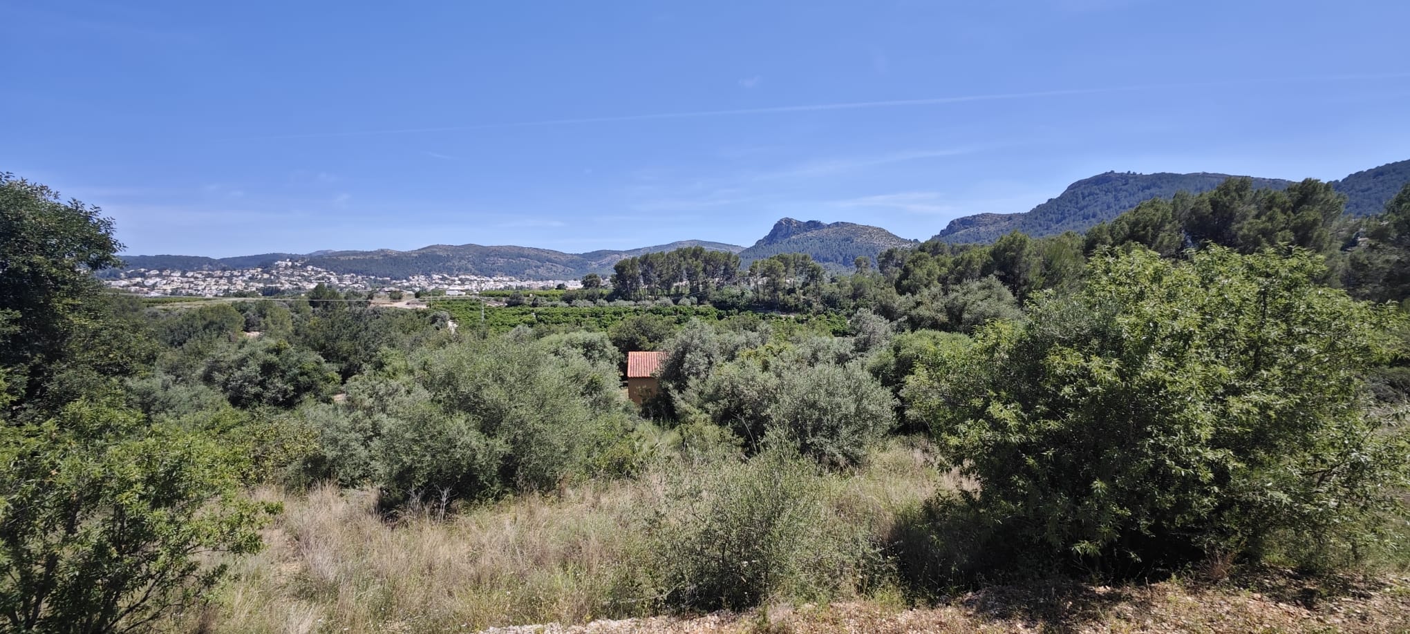 Plot in vendita a Tormos, Alicante