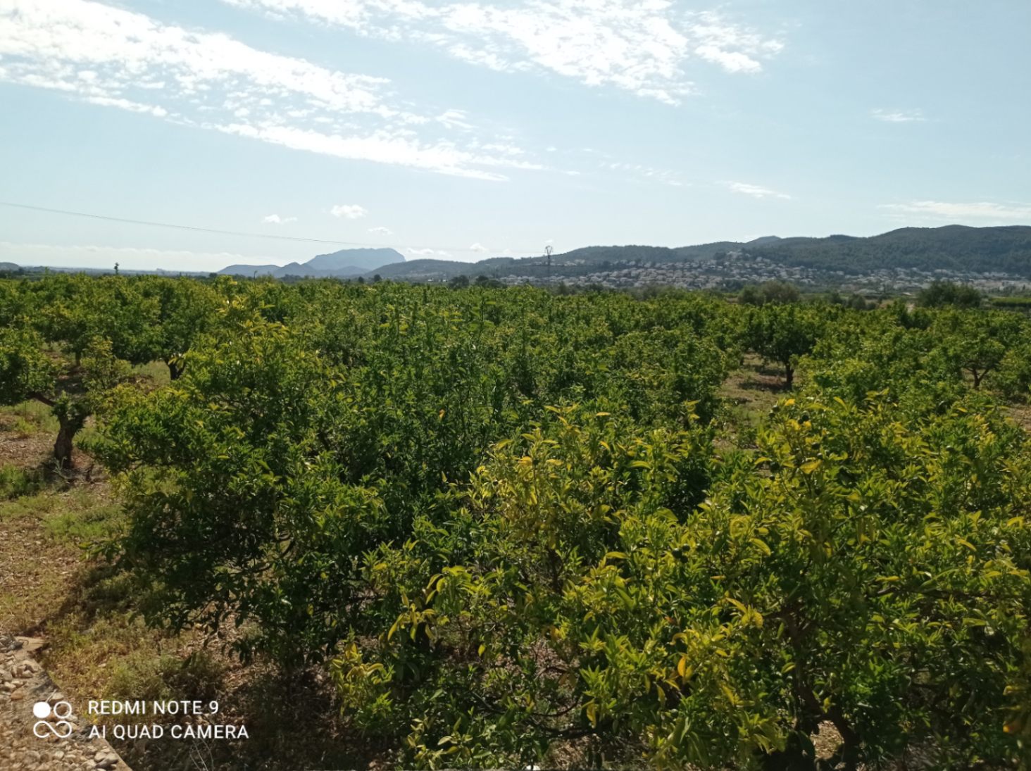 Plot in vendita a Tormos, Alicante