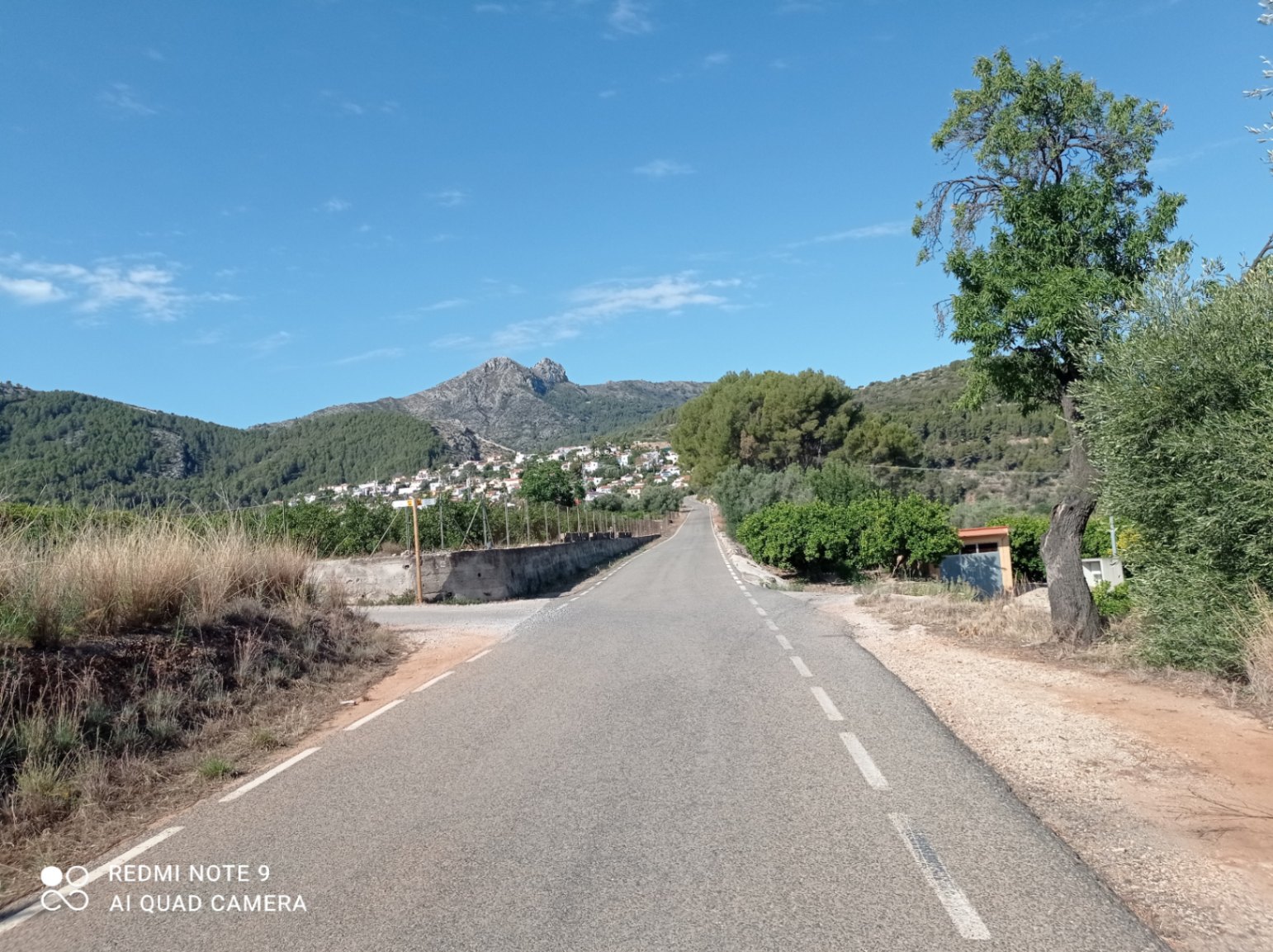 Plot in vendita a Tormos, Alicante