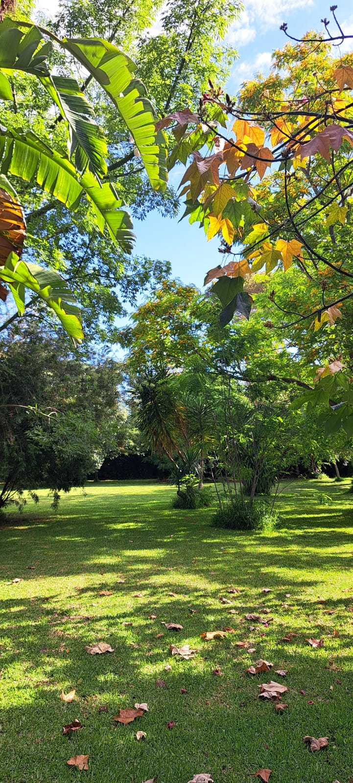 MAISON DE CAMPAGNE À ONDARA